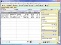 business expense organizer