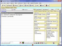 free wine inventory database template for organizer deluxe and pro inventory database template