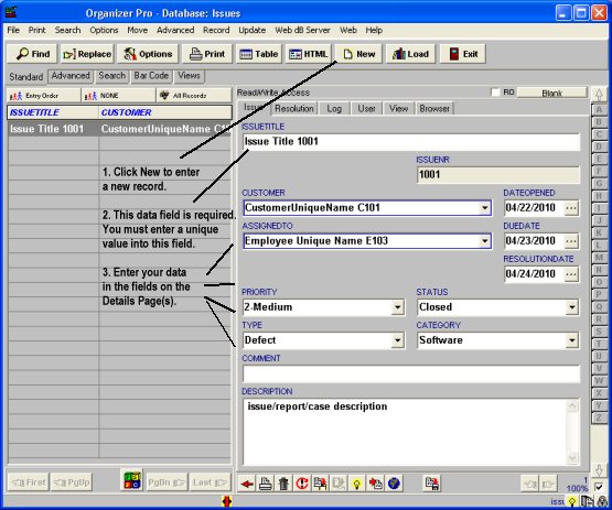 issues database, enter issue details