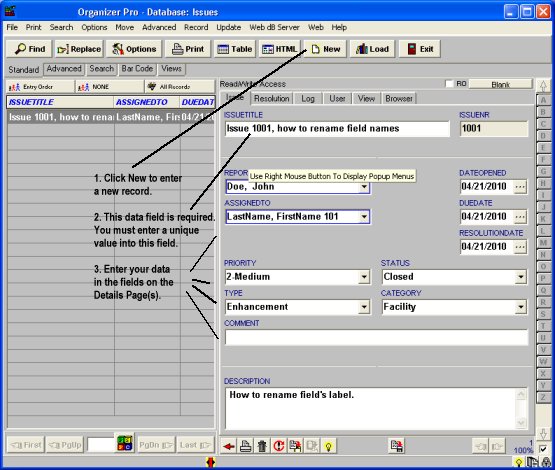 issues database, enter issue details