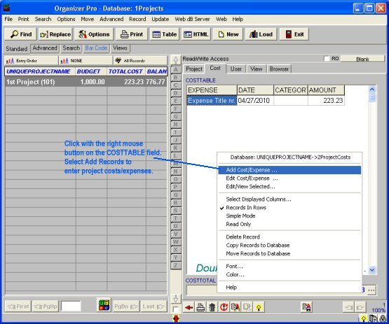 enter project cost for the selected project record