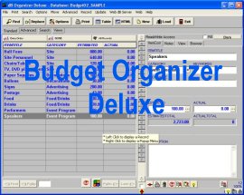 Budget Organizer Deluxe screen shot