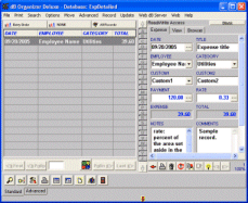 Business Expense Organizer 4.12 screenshot