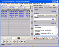 Employee Expense Organizer screen shot