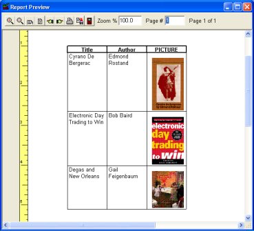Book software, small Library 
software report preview