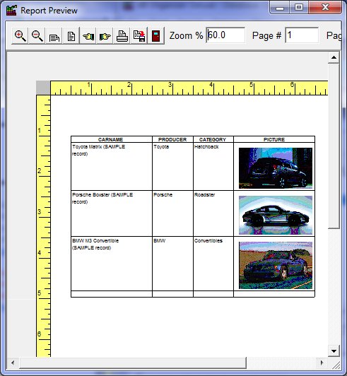 Car software report preview table