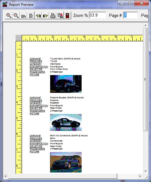 Car software table report preview