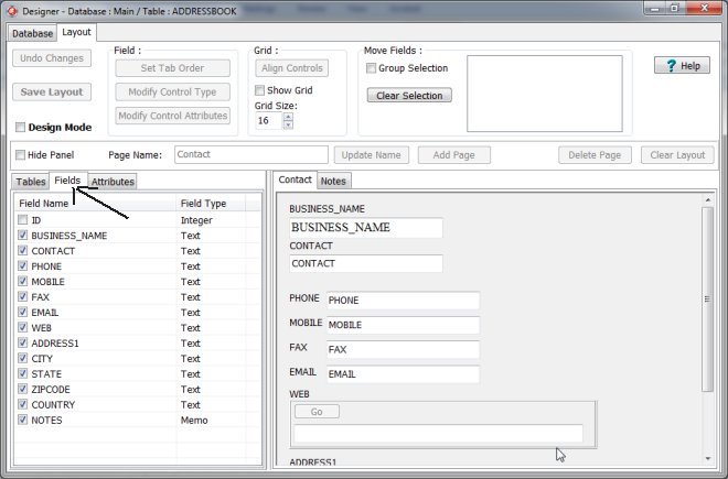 designer, layout, fields section