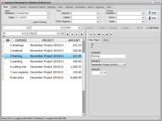 master detail field, project costs sample, detail table