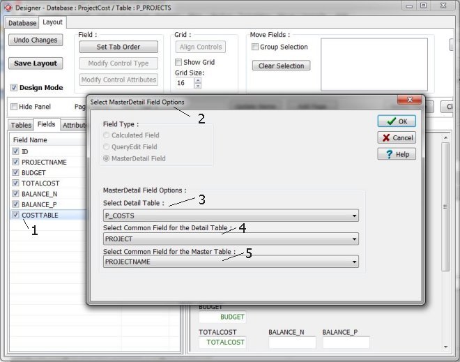 master detail field, project costs sample, define options