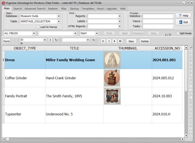 Organizer Advantage for Windows heritage solution showing the full grid tab layout with split panels off