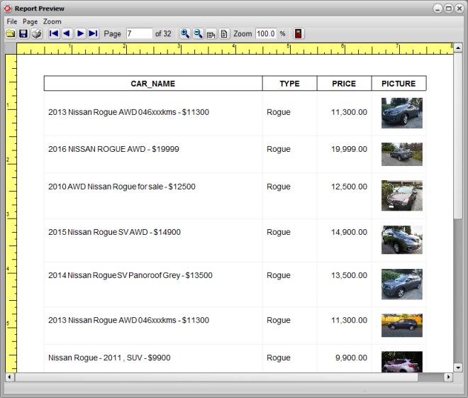 organizer advantage, report window, report sample, car report