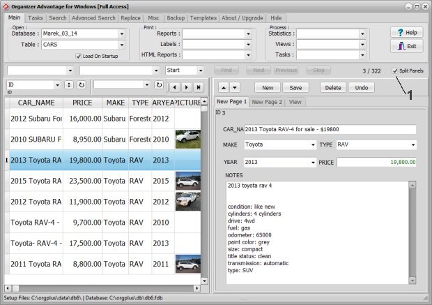 data split pane on option, grid and form in one window