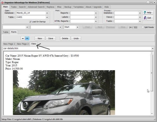 record form, view page, car record display sample