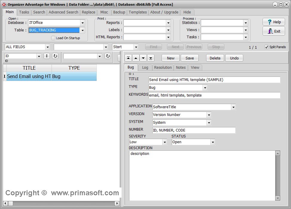 IT, Office template; main database application window