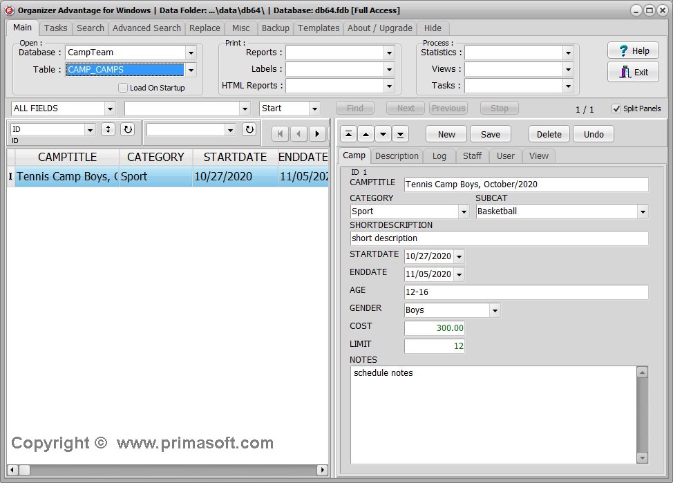 Camp, Team template; main database application window