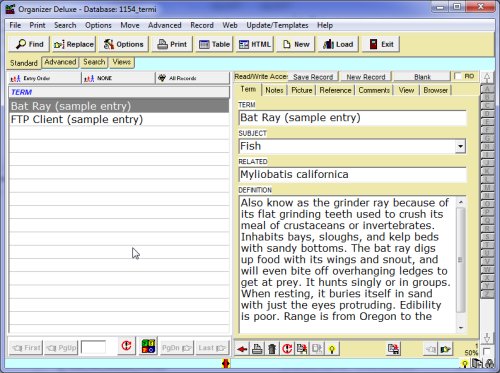 terminology software solution detailed