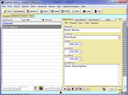 garage sale manager, database template 2