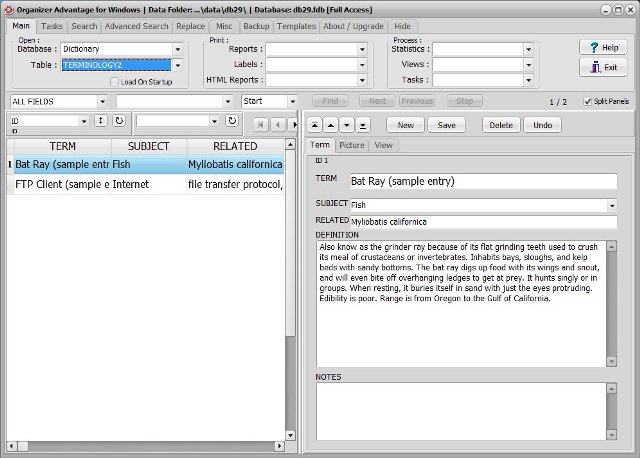 dictionary software terminology 2 database