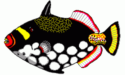 Clown Triggerfish