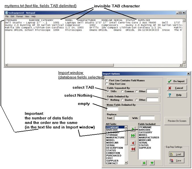 text file and import window, check your settings