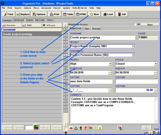 task database, enter project tasks