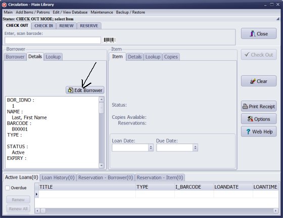 check out window, edit borrower