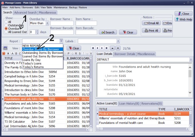 run the same report from the Manage Loans window