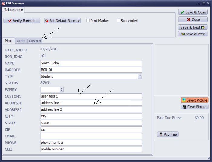 review borrower data fields