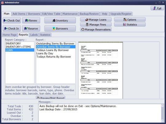 loan transaction by borrower, preview report