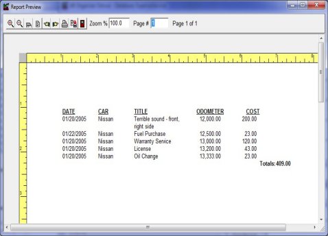 vehicle expense report