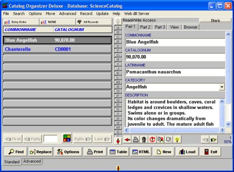 Catalog  software solution template