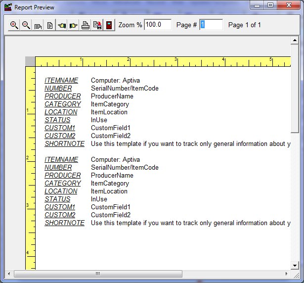 Database software report preview table