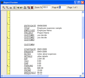 detailed expense report