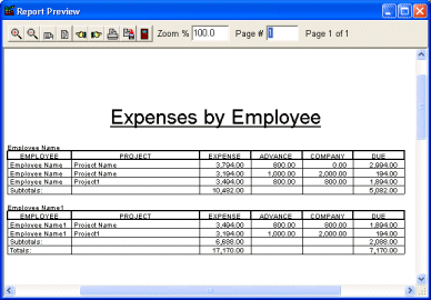 expense report by employee