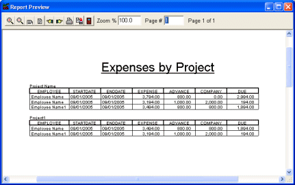 expense report by project