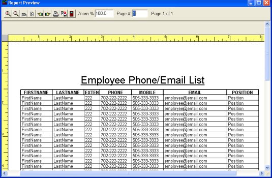 employee phone, email list report