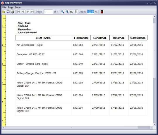 loan transaction by borrower, preview report