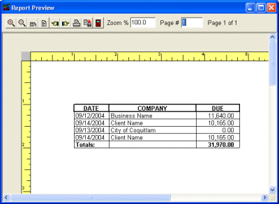 invoice software preview report